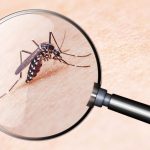 naturalna ochrona przed komarami - spray na komary DIY